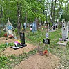 Кревская Тамара Михайловна