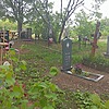 Купцов Александр Николаевич