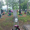 Власов Альберт Алексеевич