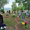 Компанец Полина Иосифовна