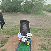 Николаева Светлана Анатольевна