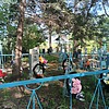 Свищ Елена Евментьевна