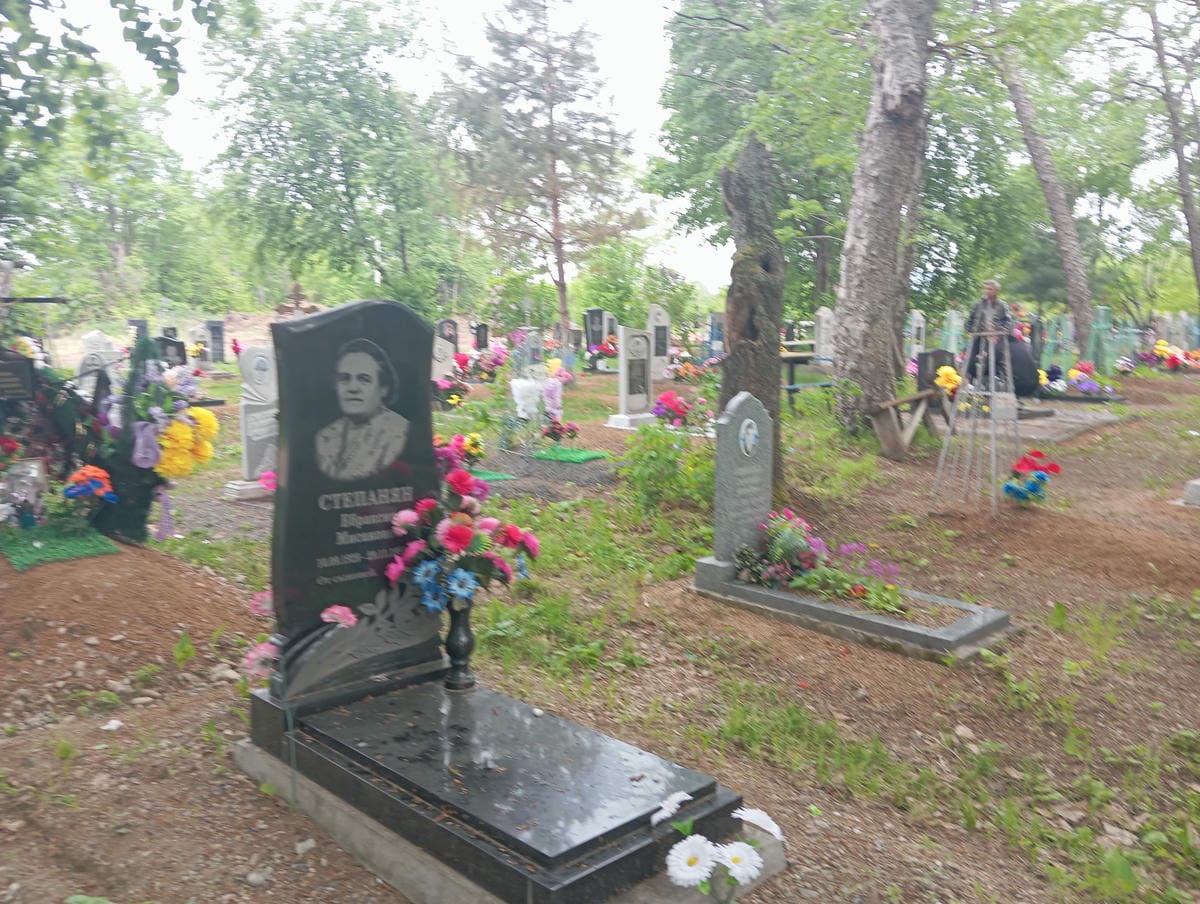 71366795-c9f5-4797-83e3-14d96d82f55e Степанян Ебраксия Мисаковна