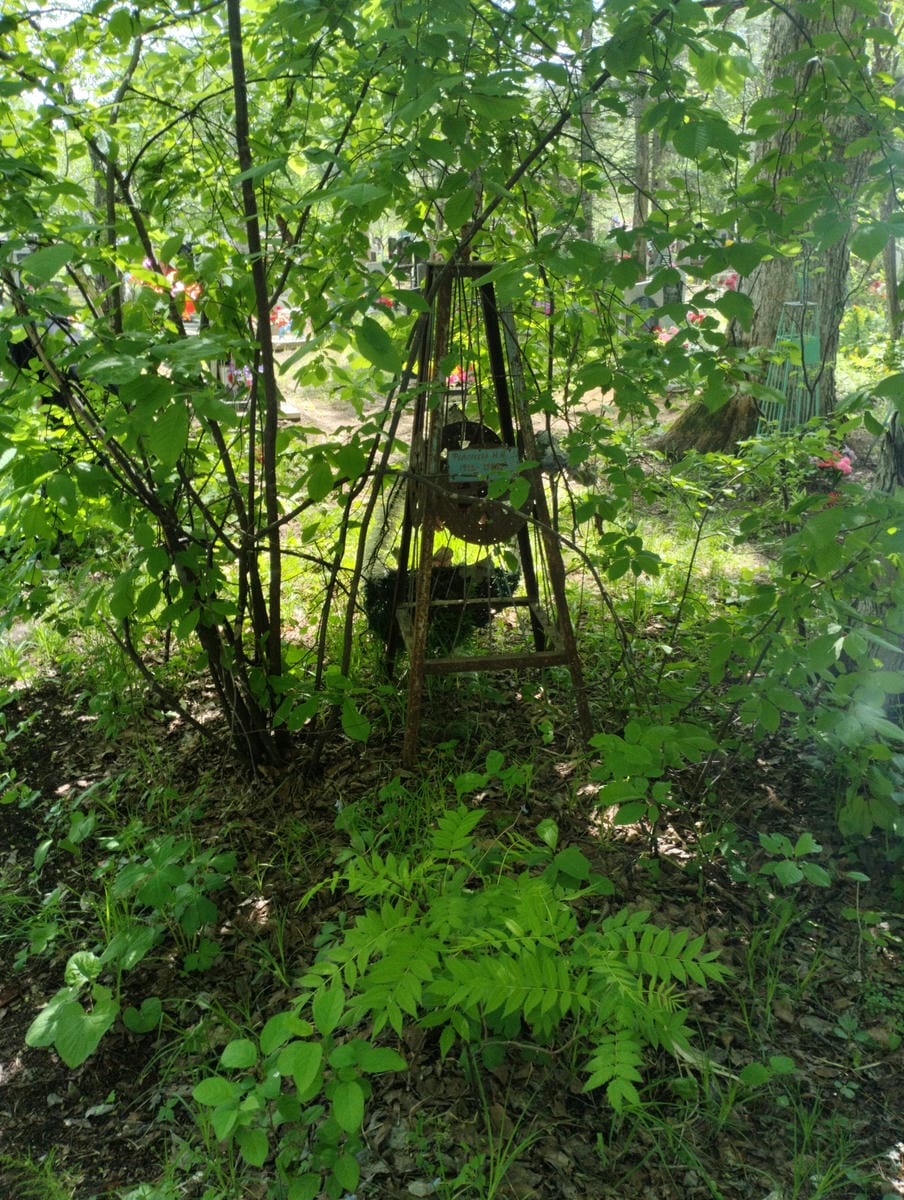 Федореева Н И