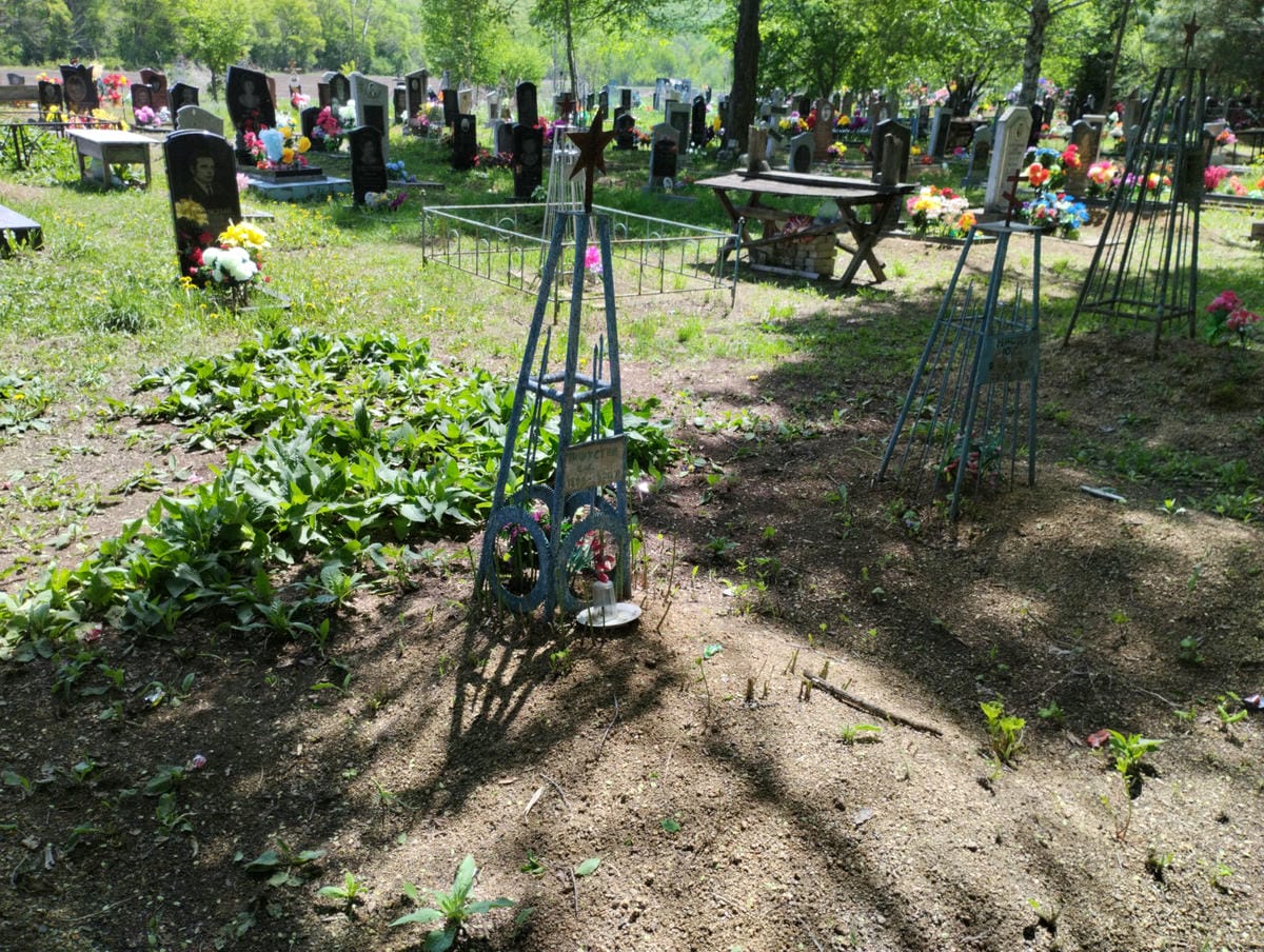 Мишустин С С