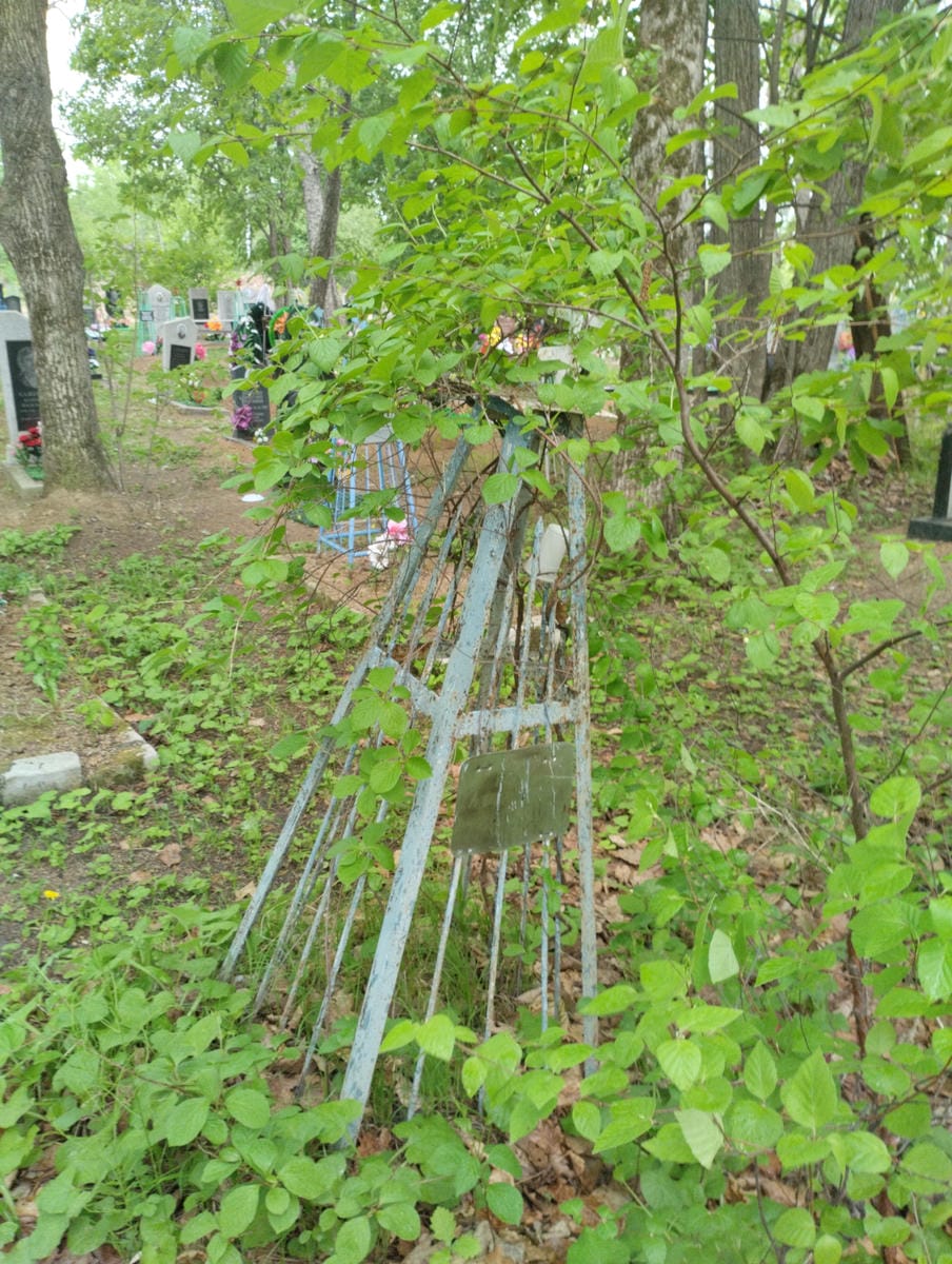 76296602-1e51-434b-b692-c8919d477835 Неизвестно Павкел Александрович