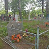Шульженко Александр Федорович
