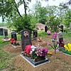 Руденко Анастасия Викторовна