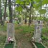Ганжа Владимер Павлович