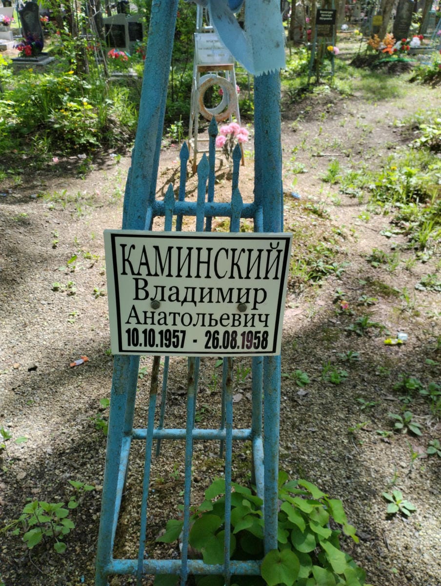 Каминский Владимир Анатольевич