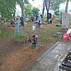 Власов Альберт Алексеевич