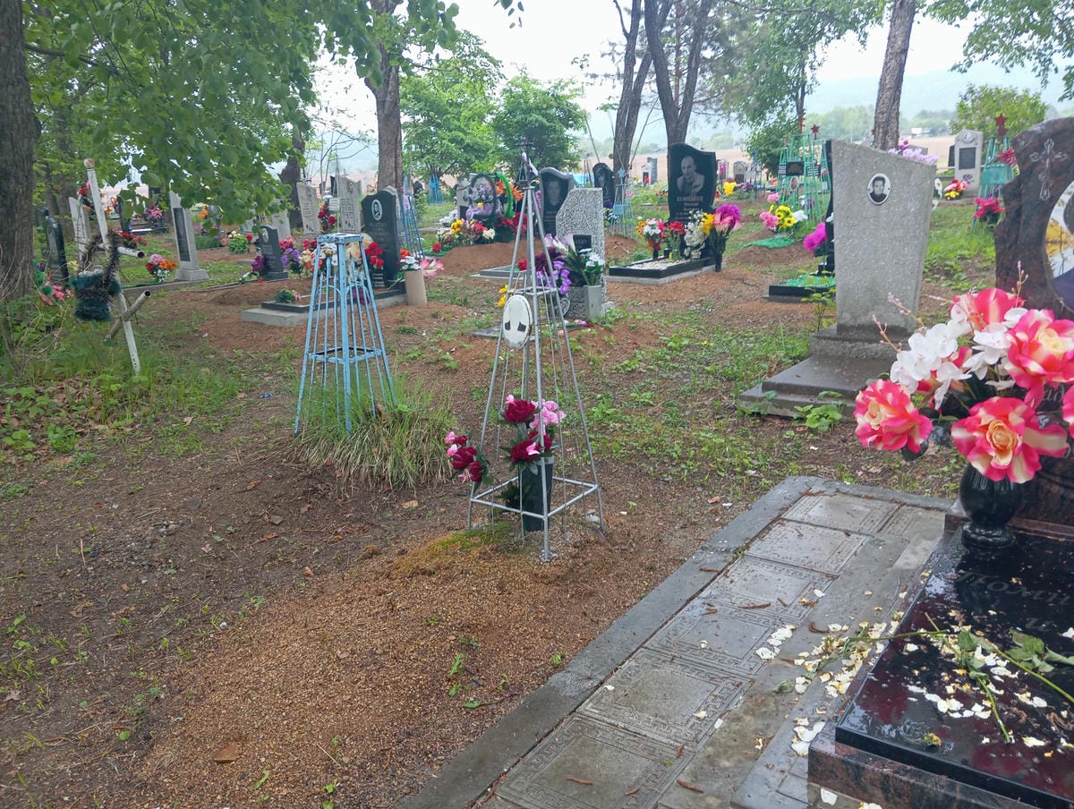 8c669baf-59d4-43fd-b597-0c928826a0a6 Власов Альберт Алексеевич