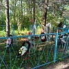 Неизвестно Неизвестно Неизвестно