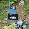 Полищук Софья Васильевна