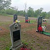 Старухина Софья Александровна