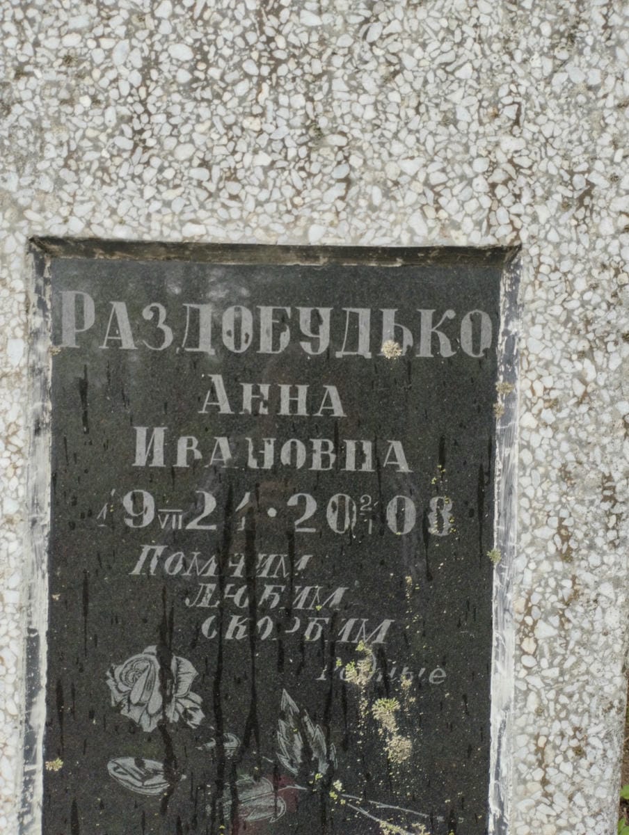 a5267b11-a054-4fff-8cca-d066b9373223 Раздобудько Анна Ивановна
