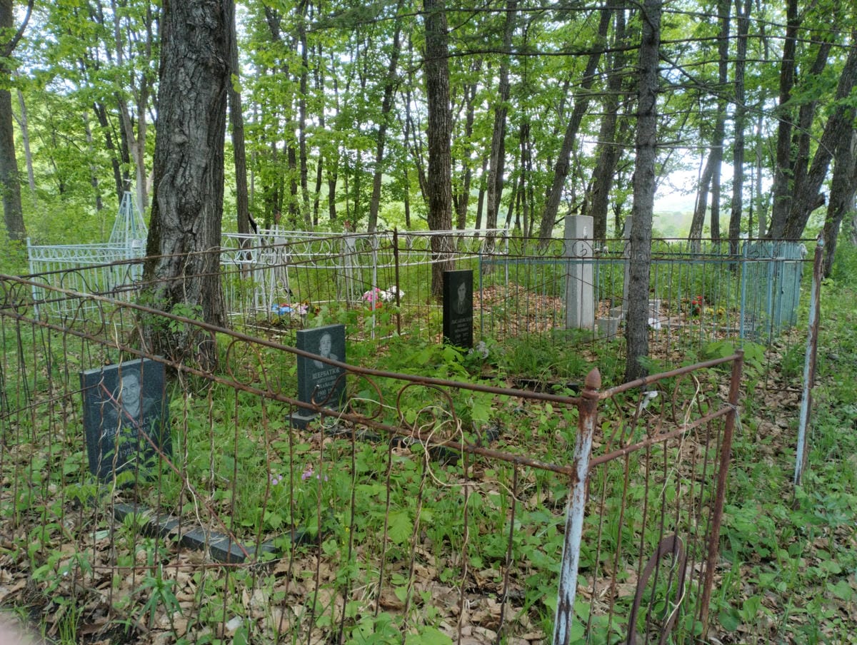 Лысаковский Михаил Витальевич