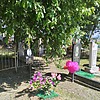 Ганич Фекла Максимовна
