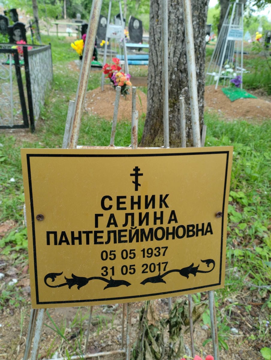 aee10962-b91c-4a6b-9f96-0b722a4183b9 Сеник Галина Папнтелеймоновна