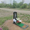 Николаева Светлана Анатольевна
