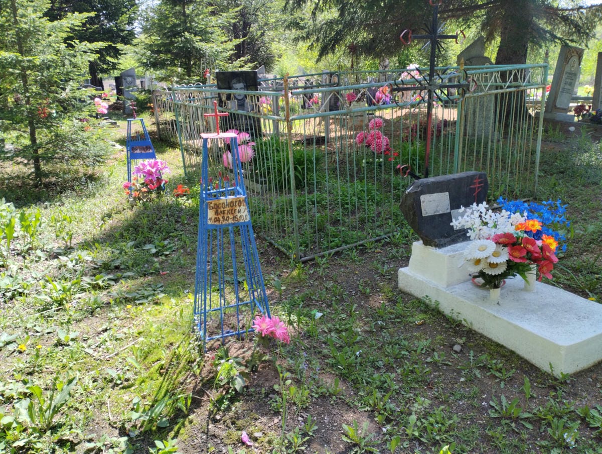 Босоногов Алексей Неизвестно