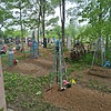 Михайлюк Феодосия Ивановна