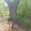 Абдулат Виктория Неизвестно