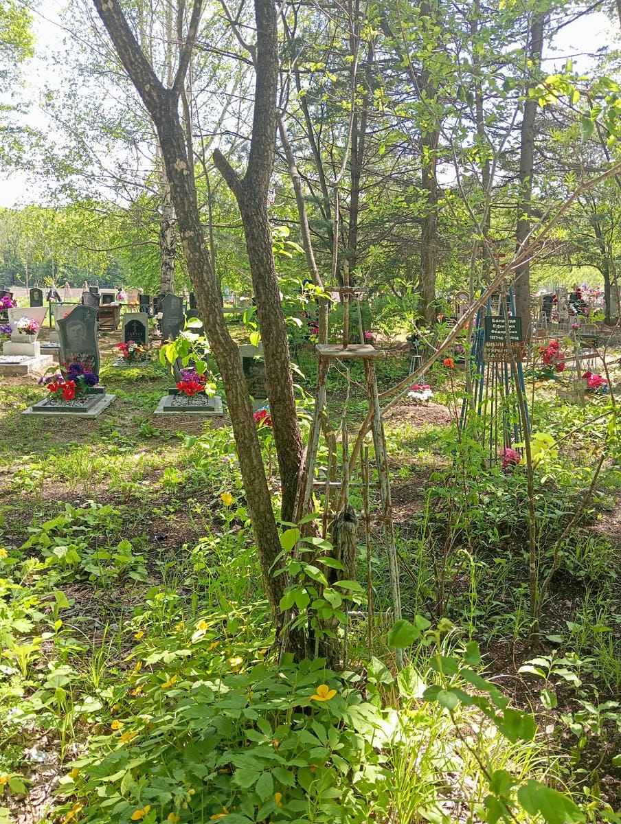 Неизвестно Неизвестно Неизвестно