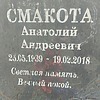 Смакота Анатолий Андреевич