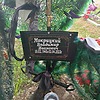Мокрицкий Владимир Иванович