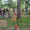 Сеник Галина Папнтелеймоновна