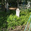 Горбасева Татьяна Ивановна
