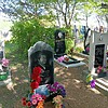 Веремчук Анастасия Мироновна