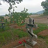 Смирнов Михаил Николаевич