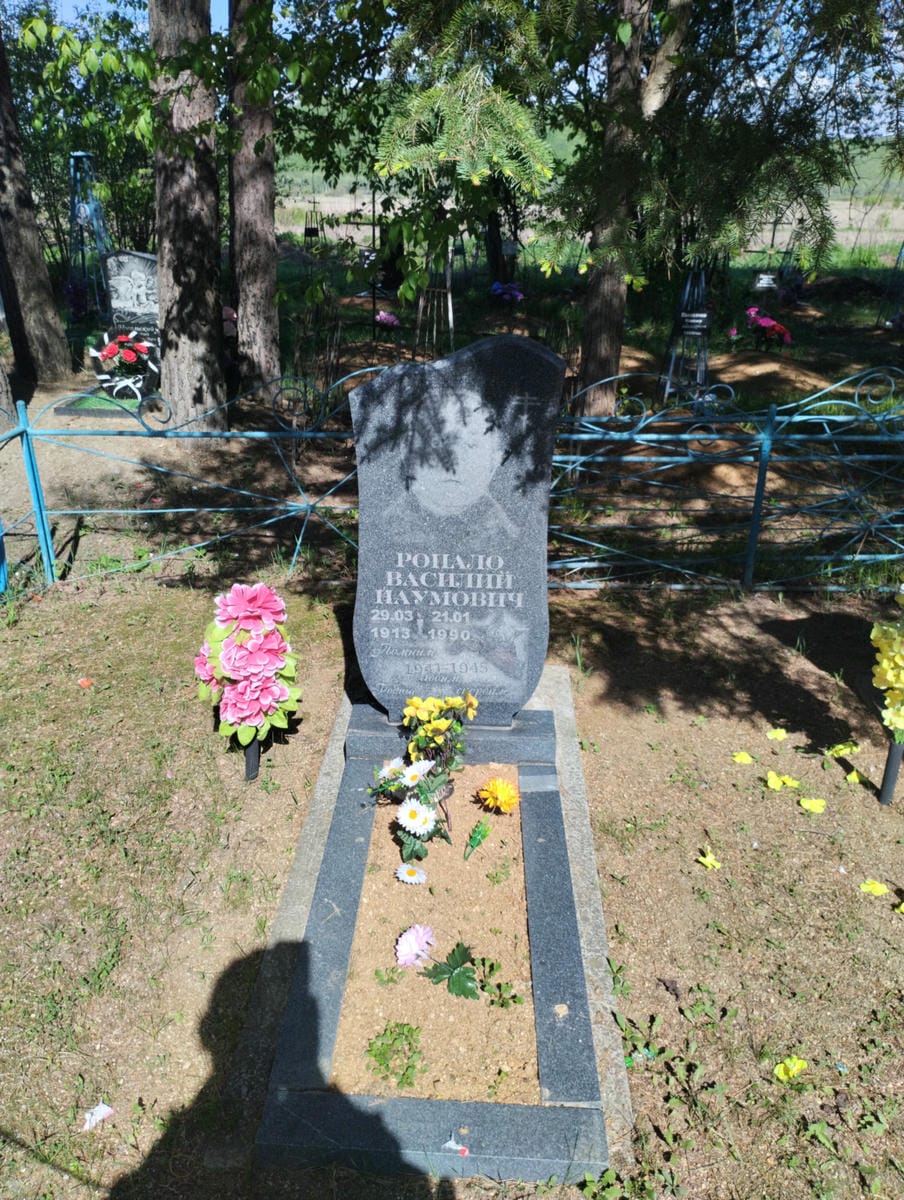 e0b6d6f4-80bd-4b08-9285-da31b12bfcc6 Ропало Василий Наумович