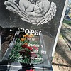 Жорж Иван Прокофьевич