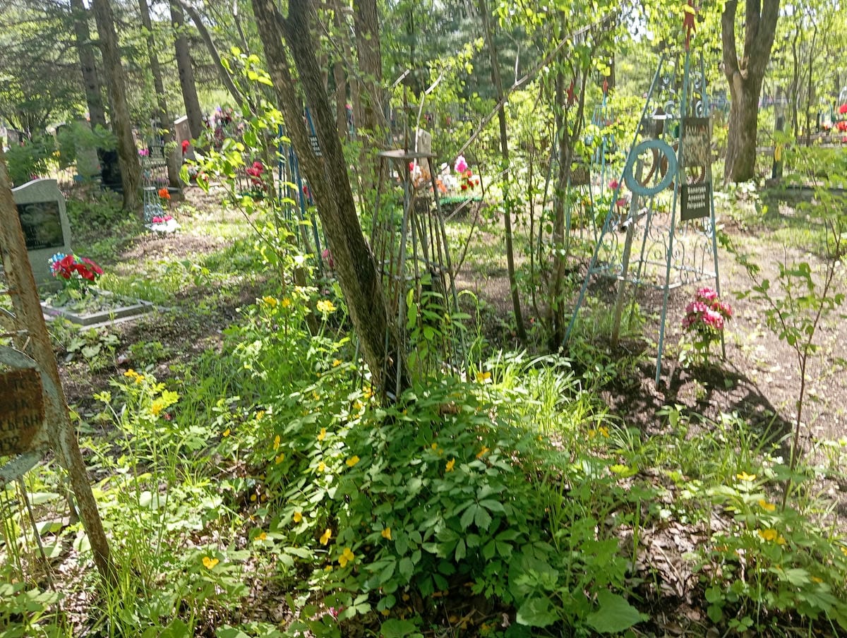 Неизвестно Неизвестно Неизвестно