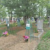 fbe87f80-97b3-4aed-9053-6f64ca97e5f5 Тележникова Антонина Харитоновна