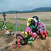 Хатеев Николай Владимирович