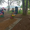 Смакота Светлана Александровна