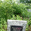 Никифорова Наталья Юрьевна