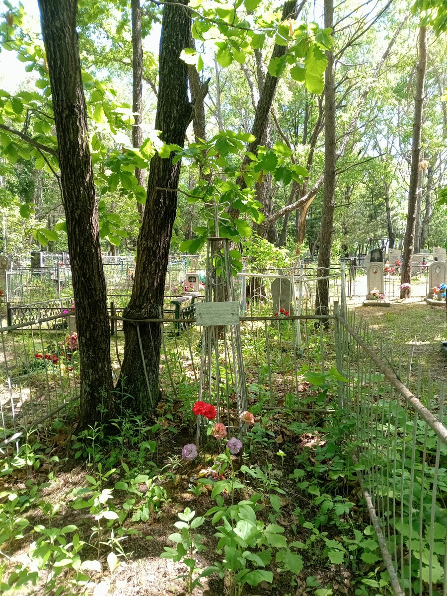 00316430-af5e-43a5-bc43-f116291aa4f5 Щуляк Антон Семенович