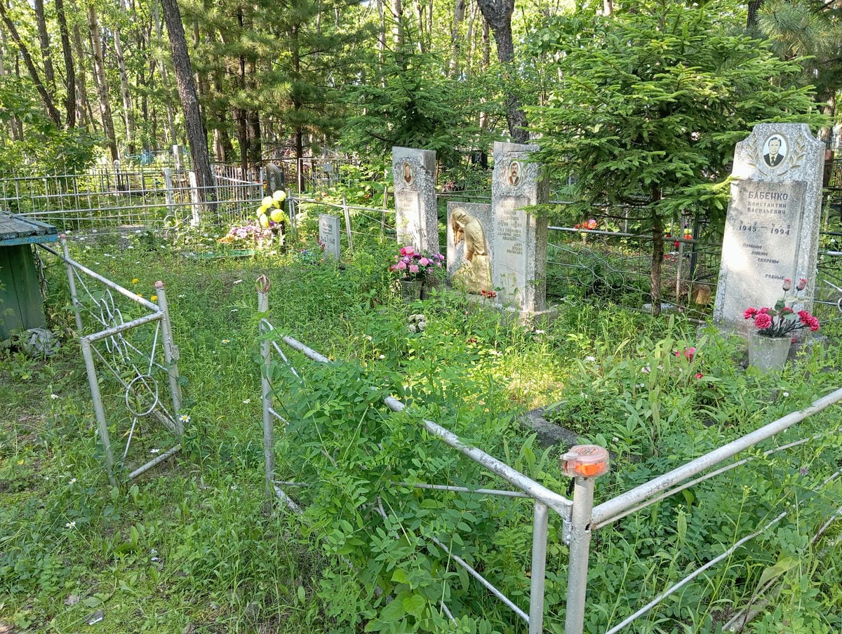 0045588c-92bb-43c1-9636-7102b2d62de7 Пырков Андрей Андреевич