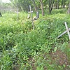 004724be-c5bd-4426-85c2-fffe35312181 Неизвестно Неизвестно Неизвестно