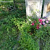 Пыркова Анна Прокофьевна