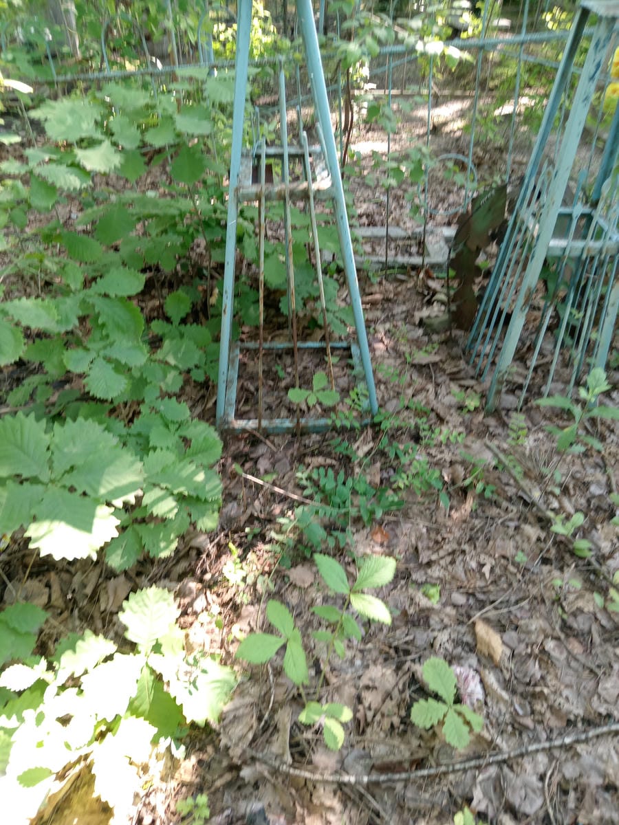 Неизвестно Неизвестно Неизвестно