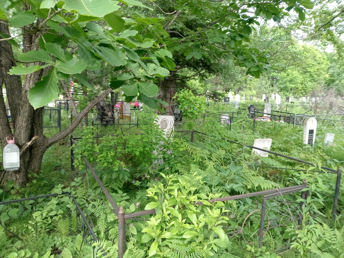 00e92513-b6ad-4695-b9b4-47a55bda8627 Матвеев Анатолий Григорьевич