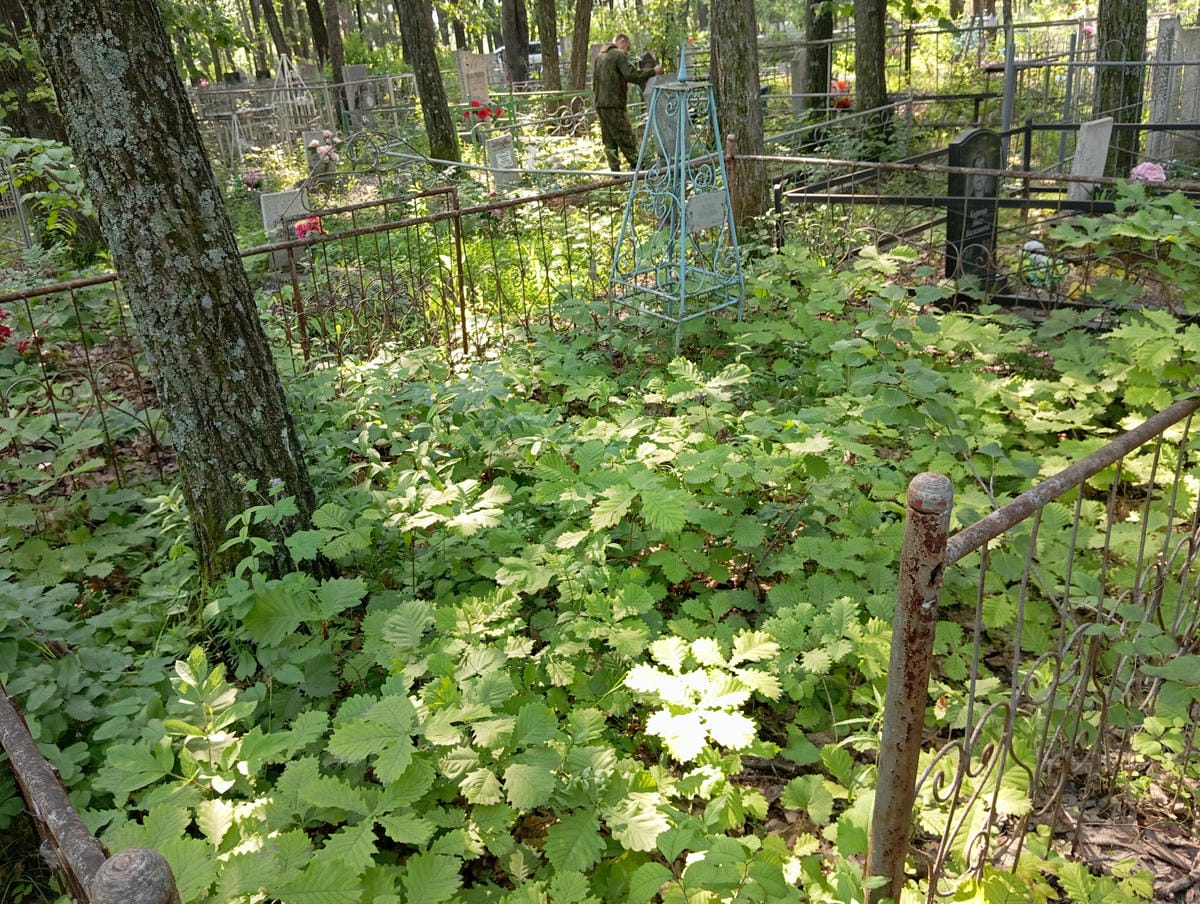 Богомазова Лидия Ивановна