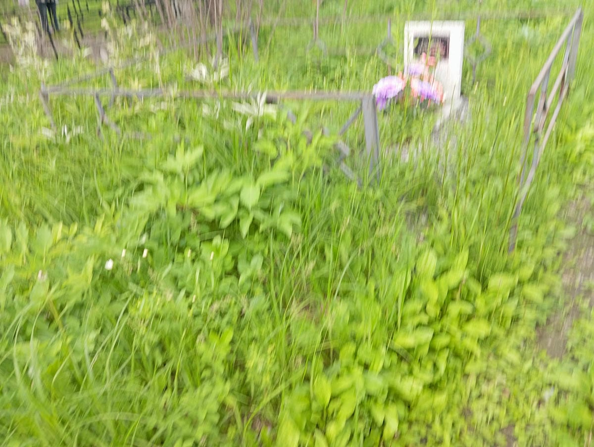 Скопич Александр Михайлович