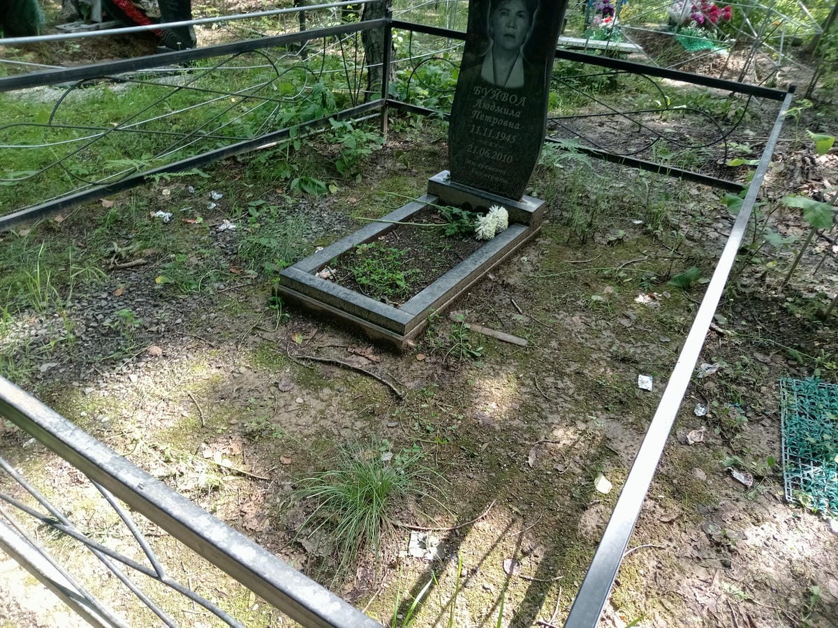 01af1e90-9547-4951-960f-681f7d621b48 Буйвол Людмила Петровна